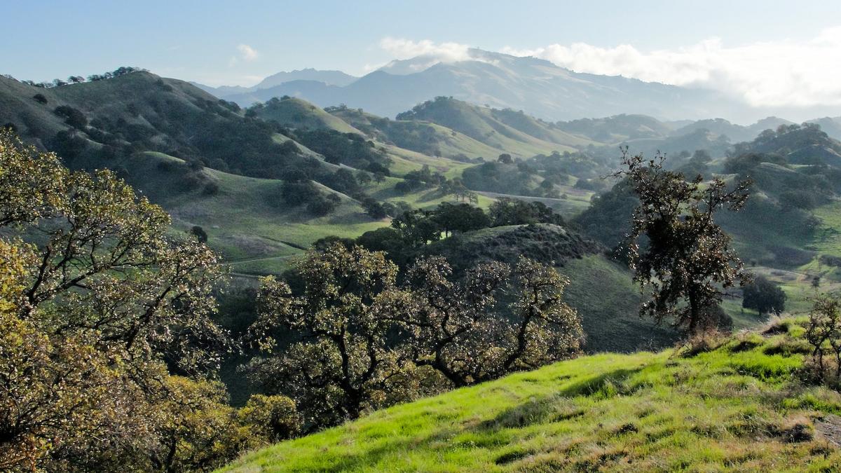 Image of Mount Diablo from Walnut Creek, CA